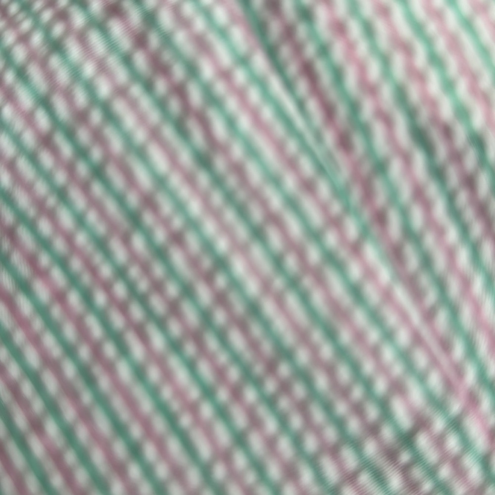 Men’s pink/mint seersucker shorts- 38